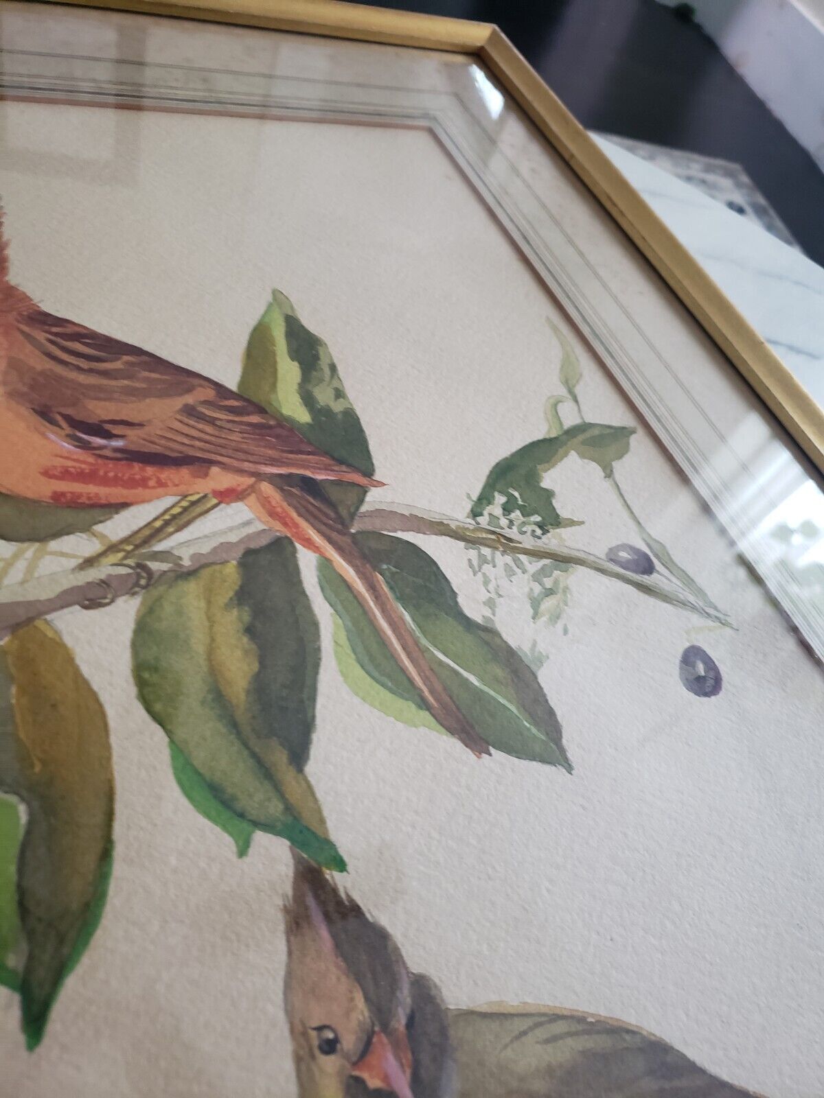 1900s Watercolor Painting of Cardinal Bird - 21x27