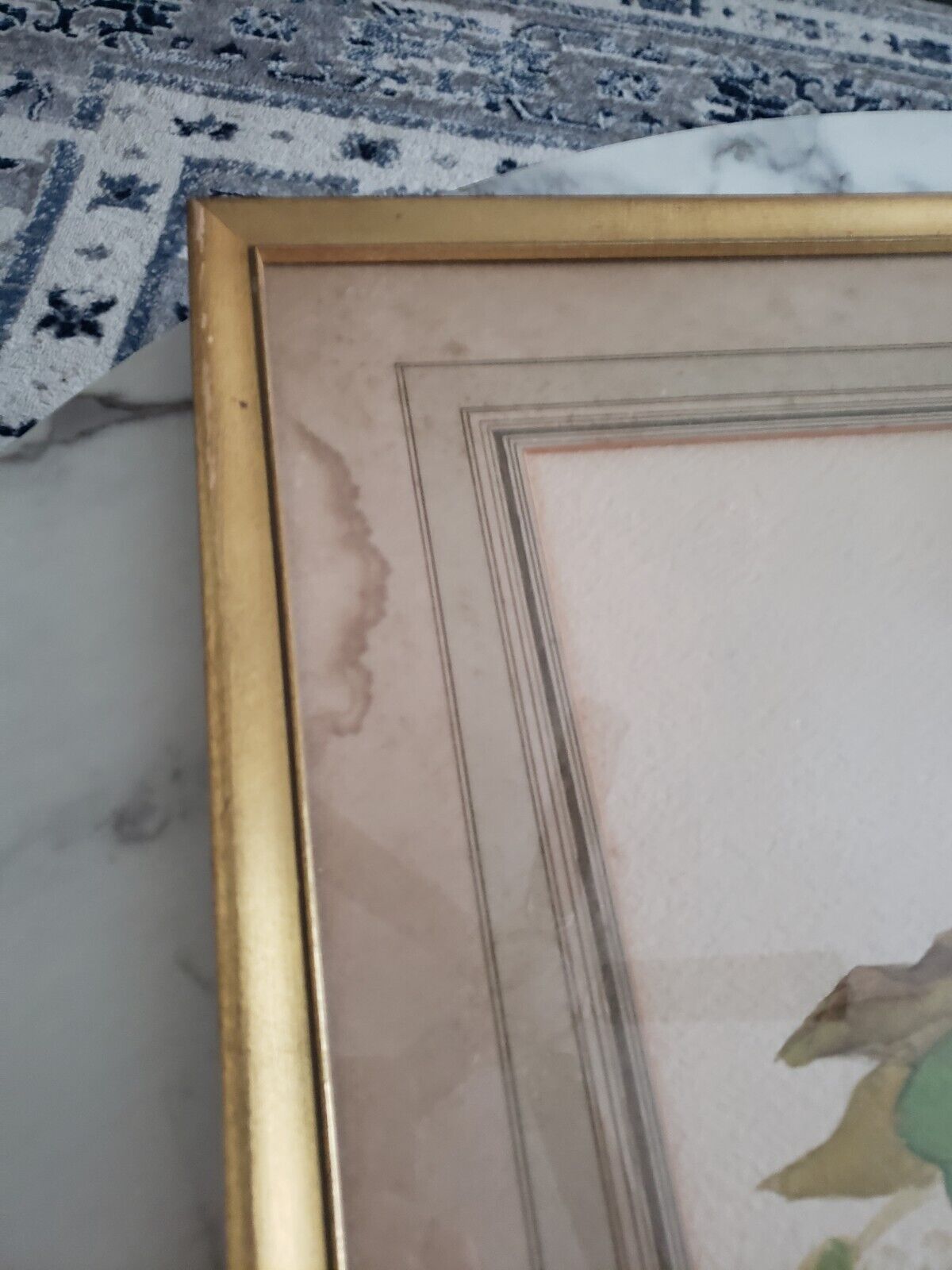 1900s Watercolor Painting of Cardinal Bird - 21x27