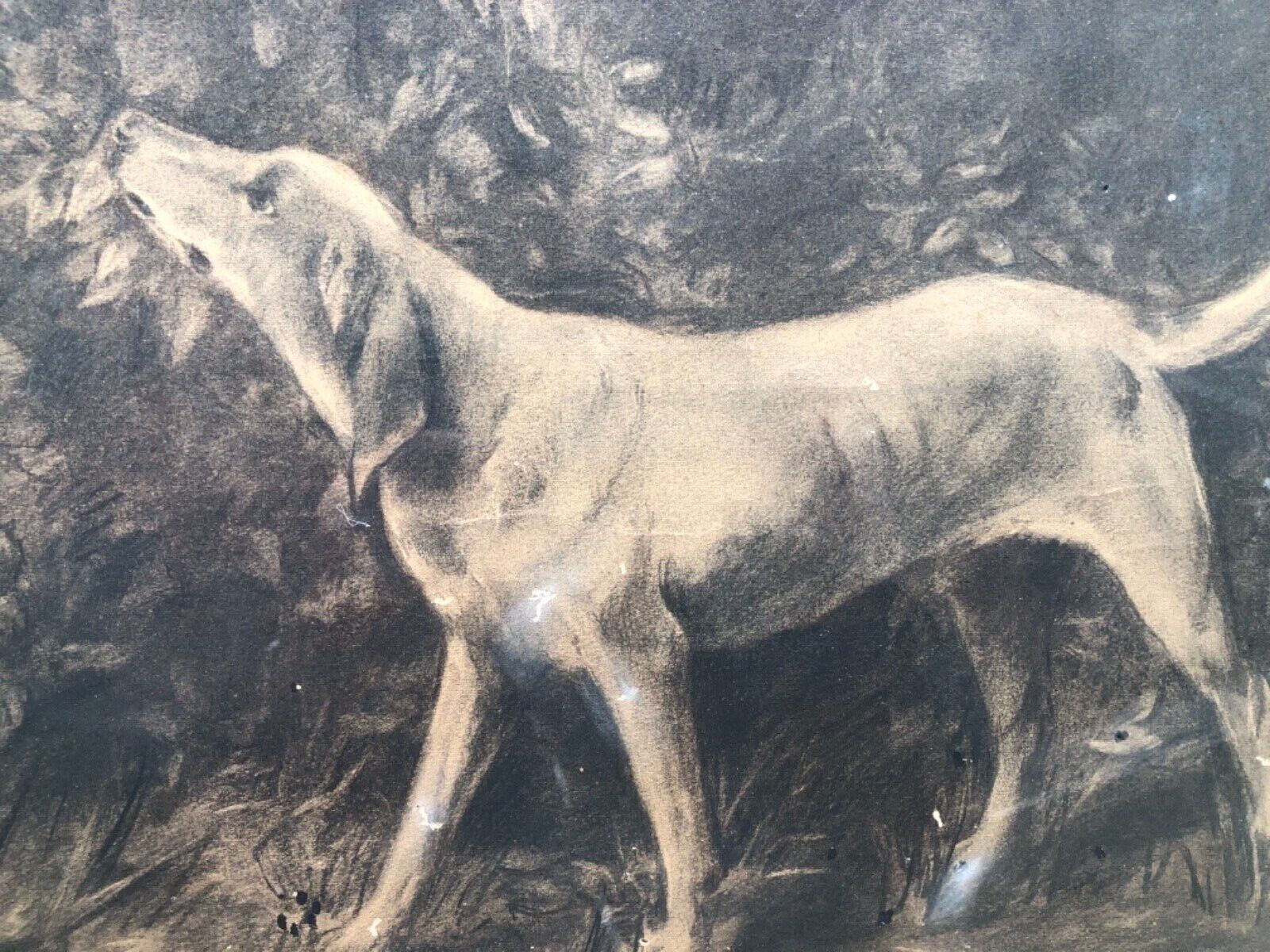 1800's Dog Painting in Original Frame - Large