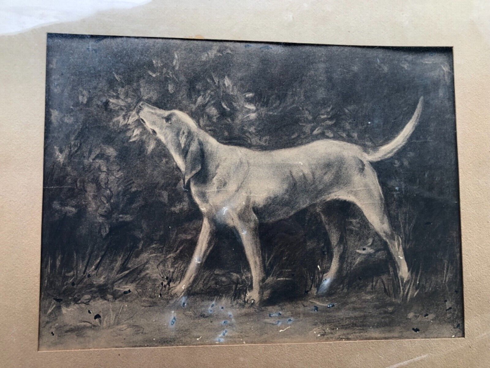 1800's Dog Painting in Original Frame - Large