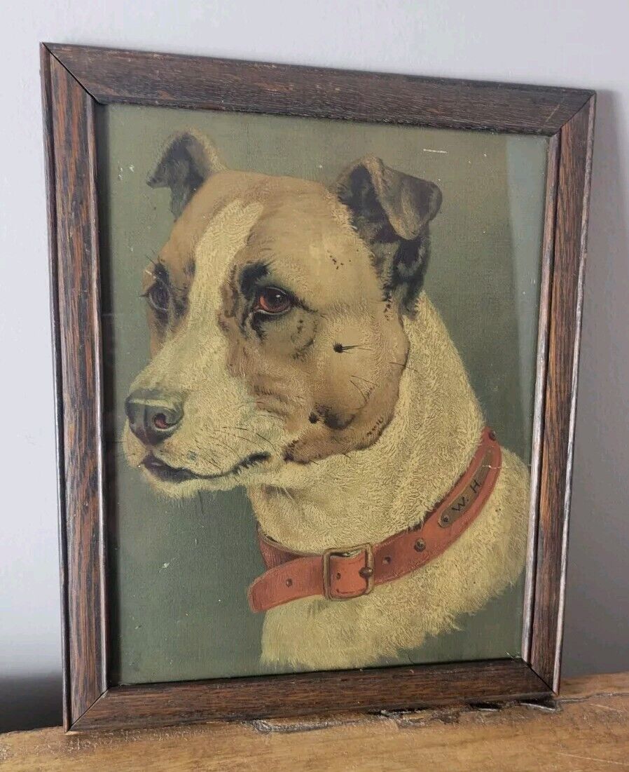 1800s Staffordshire Terrier Pitbull Dog Print 12" Ink
