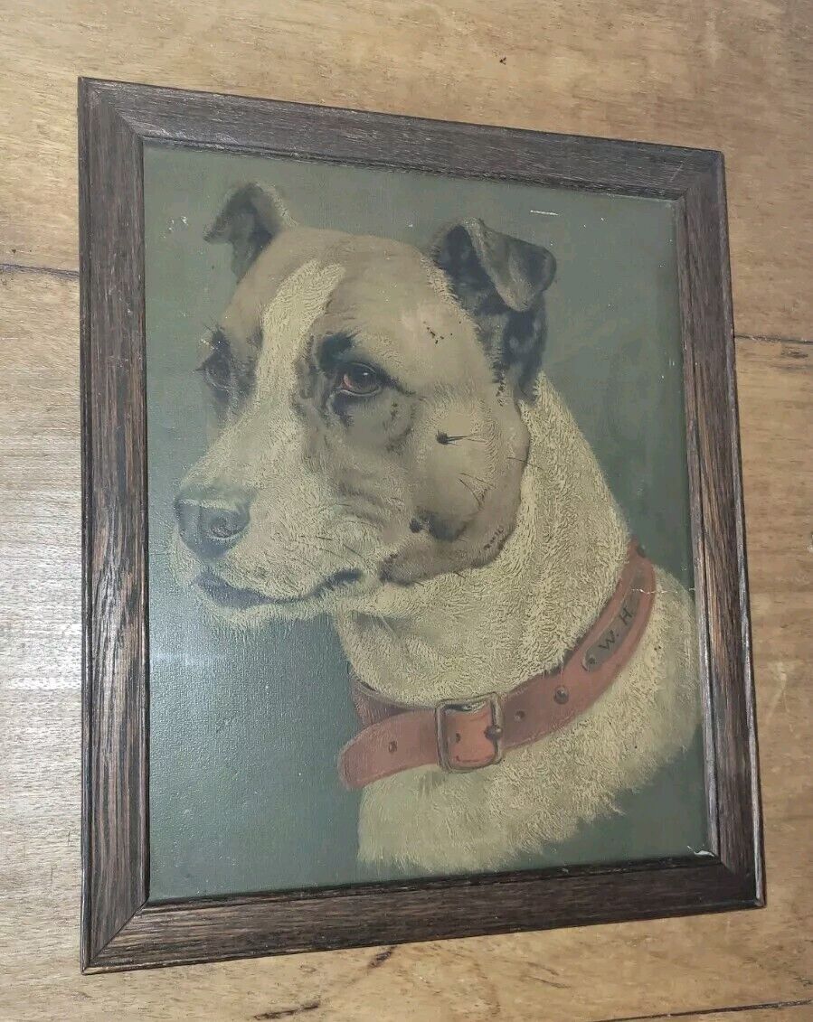 1800s Staffordshire Terrier Pitbull Dog Print 12" Ink