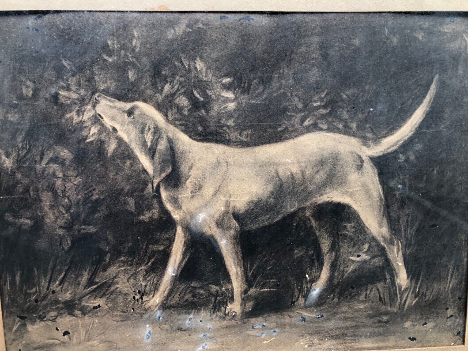 1800's Dog Painting in Original Frame - Large