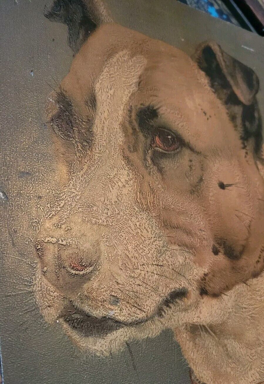 1800s Staffordshire Terrier Pitbull Dog Print 12" Ink