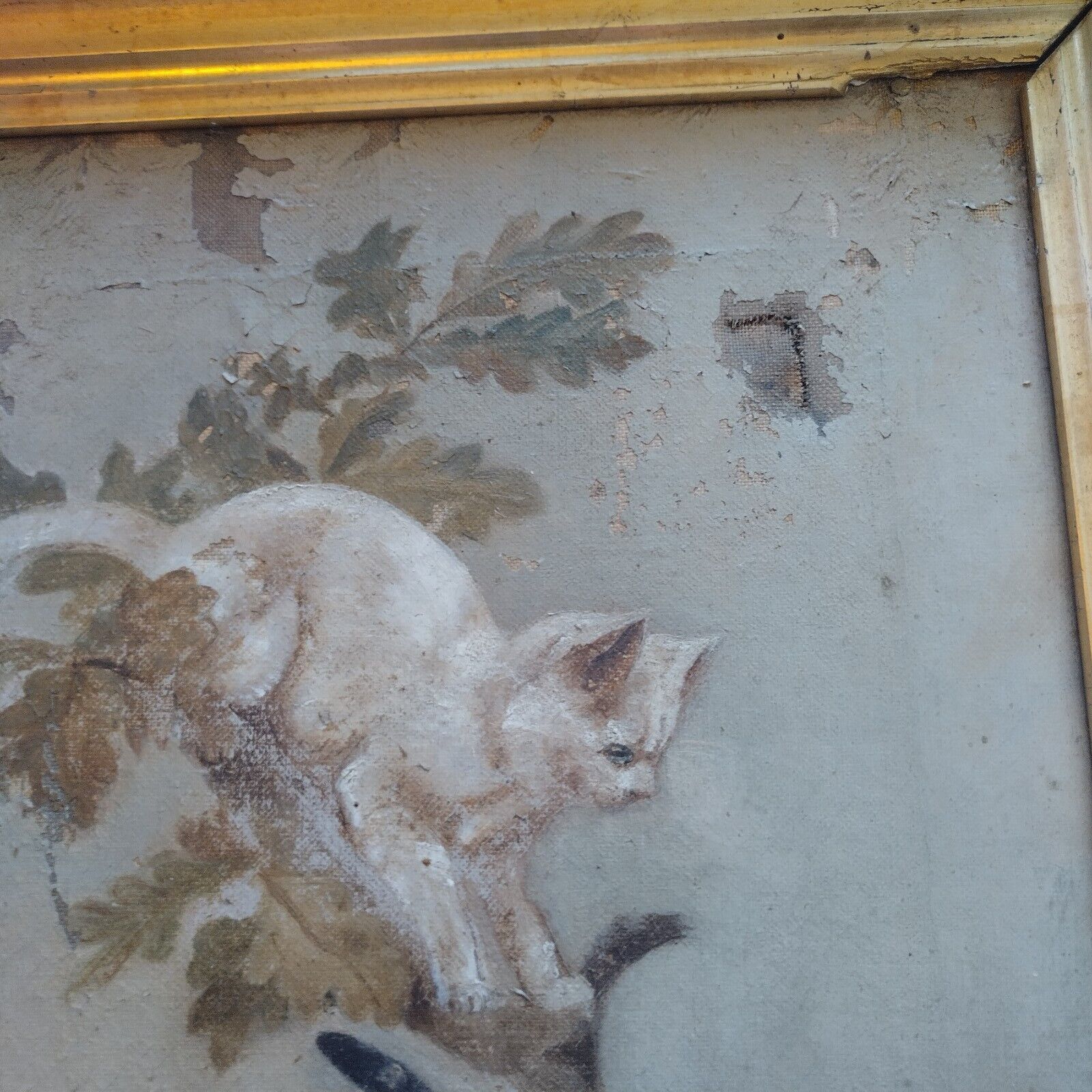 1800s Primitive American Folk Art Cat Kittens Painting