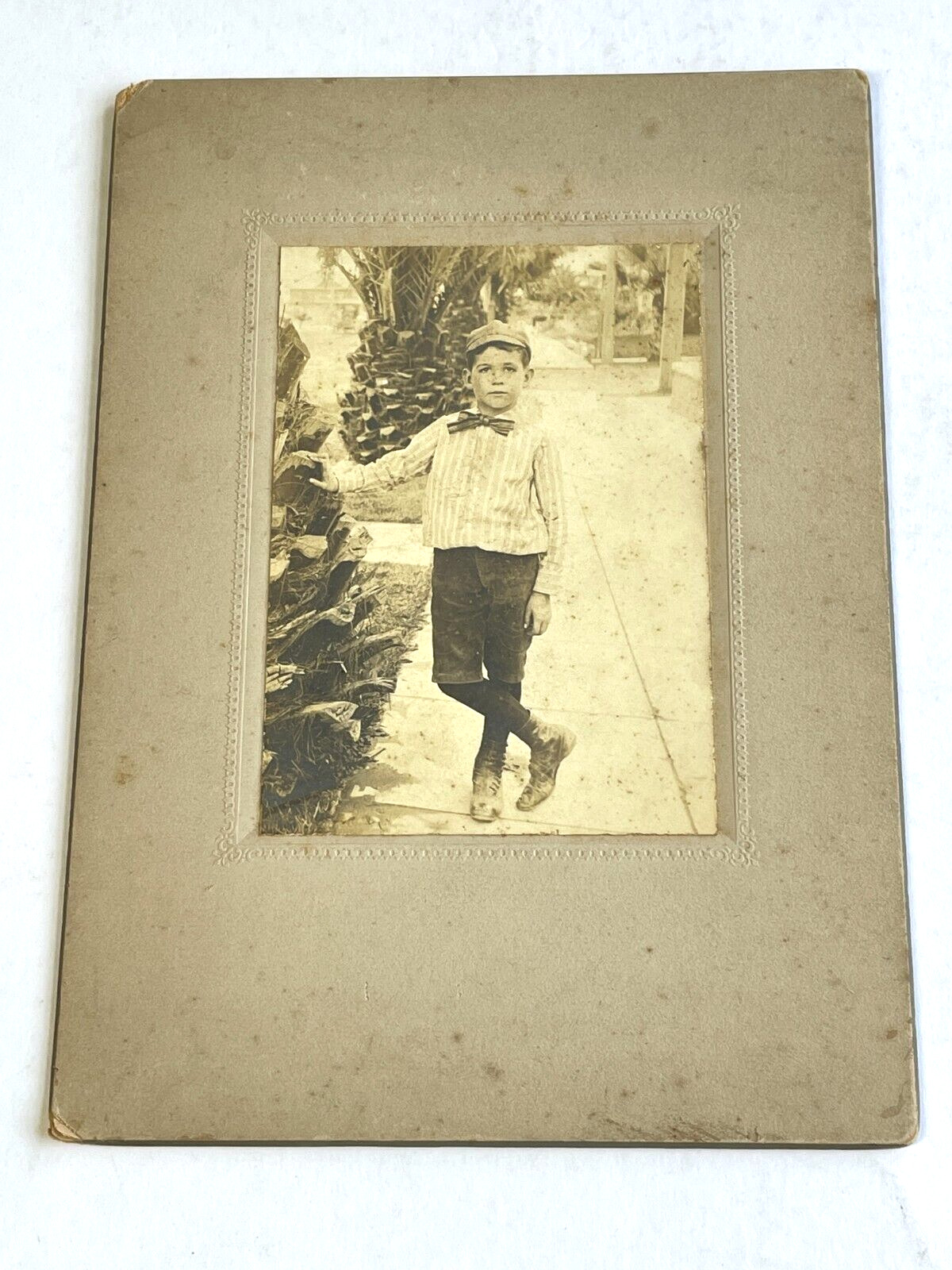 Vintage LA Boy Cabinet Card Photo w/ Palm Trees