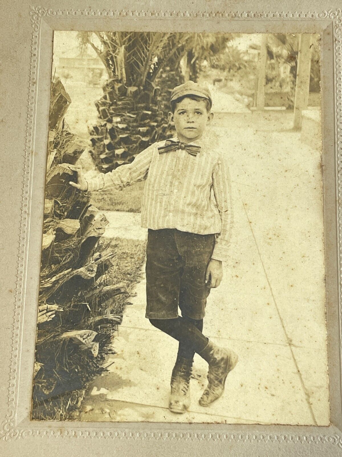 Vintage LA Boy Cabinet Card Photo w/ Palm Trees
