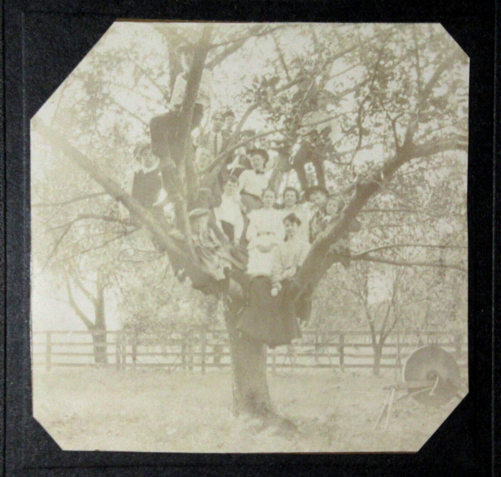 Vintage Family Reunion Cabinet Photo in Woods 1900-20s