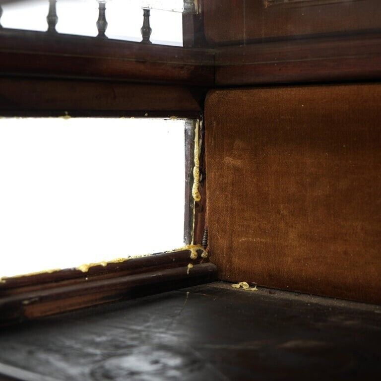 Georgian Style Mahogany and Bronze Display Vitrine 1890