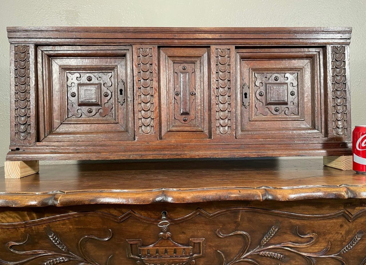 Flemish Oak Wood Cabinet with 1700's Doors & Frame