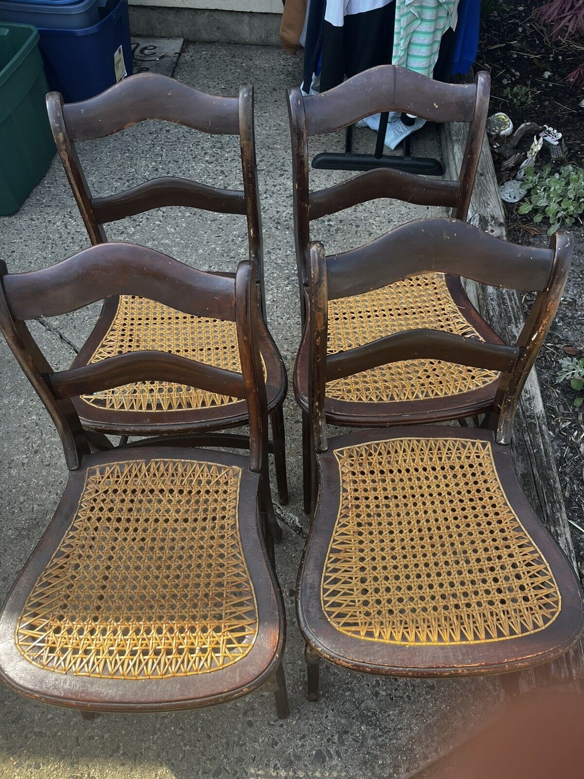 Set of 4 Antique Chairs