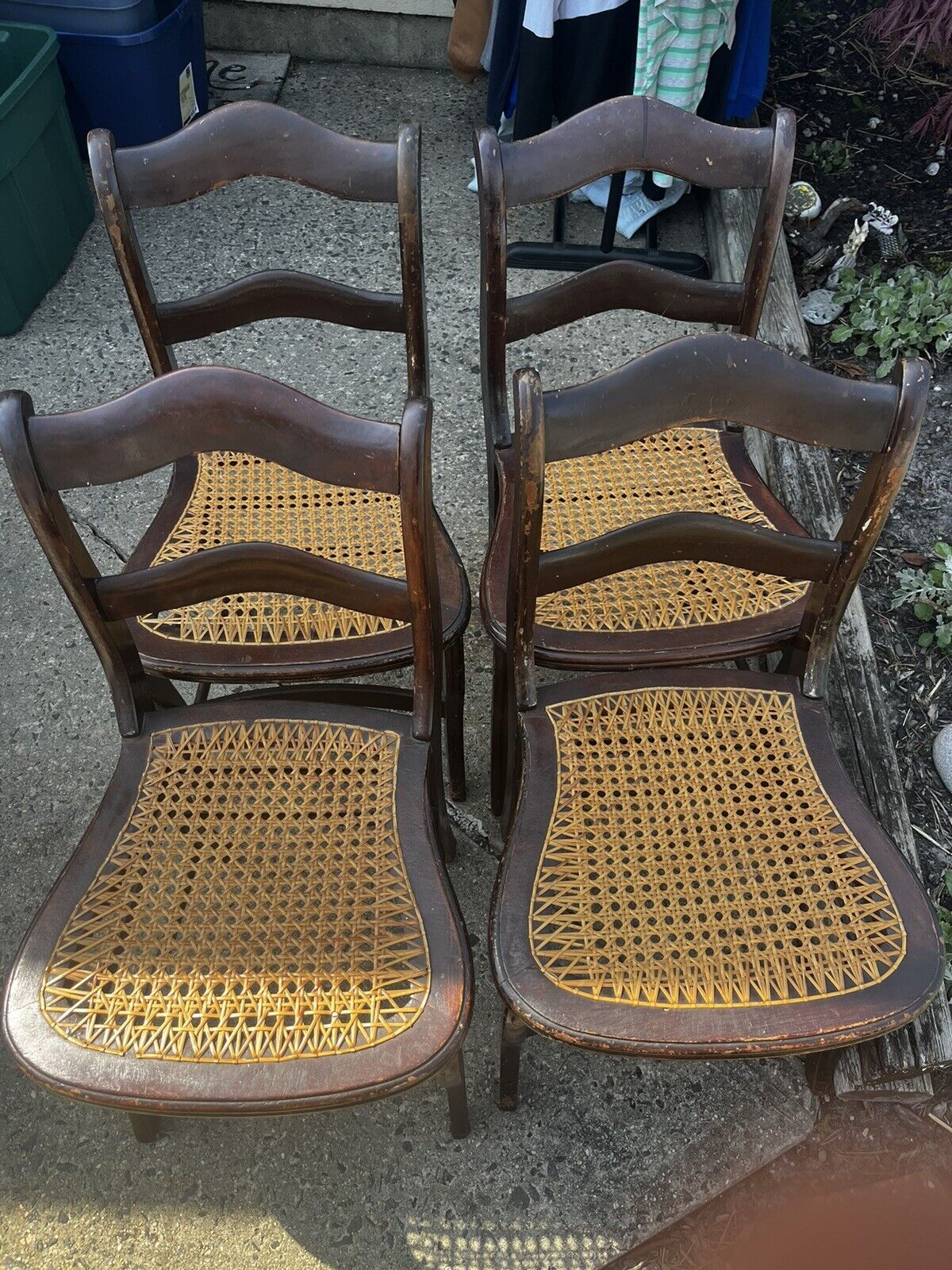 Set of 4 Antique Chairs
