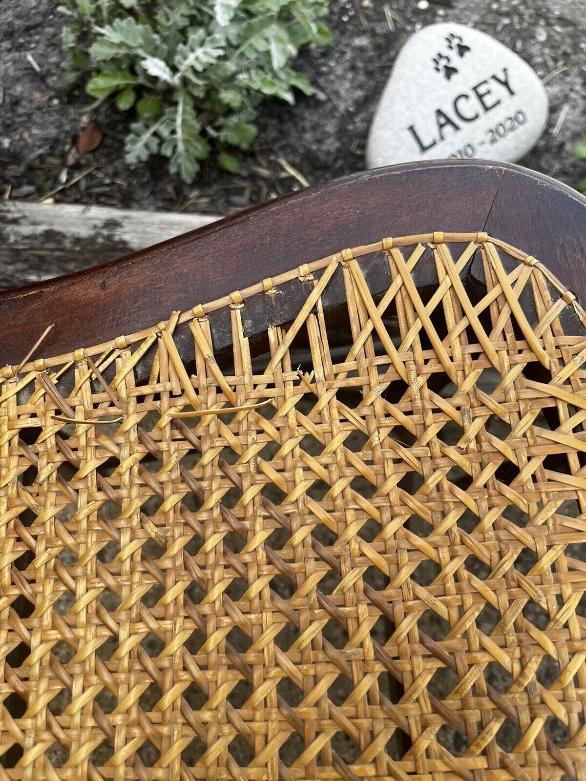 Set of 4 Antique Chairs