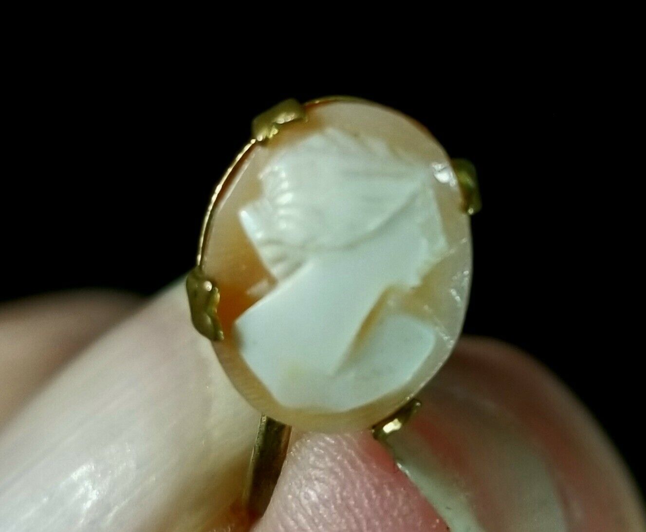 Antique Early 1900s Woman Portrait Shell Cameo On Pink Screw Back Earrings EXC