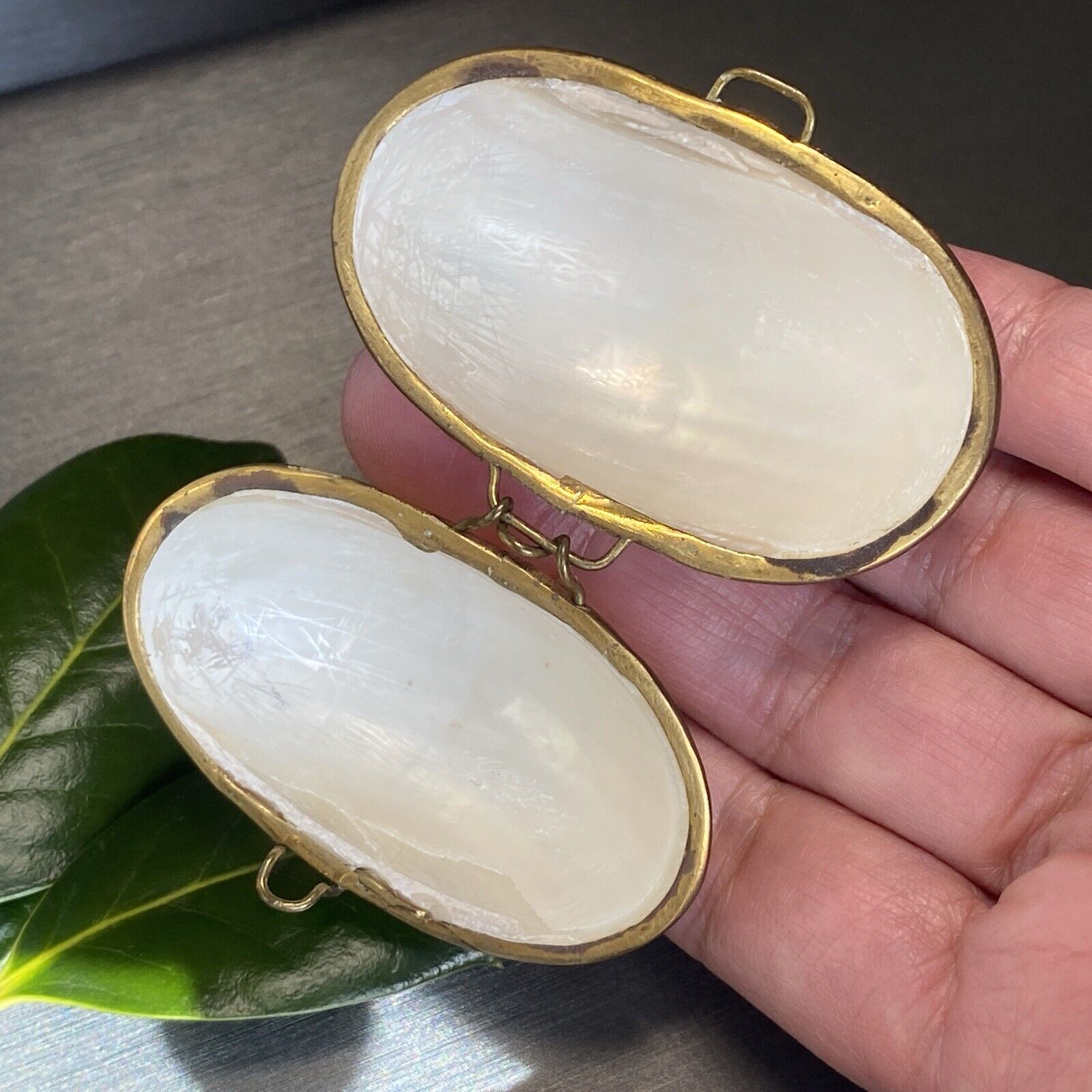 Sea Shell Brass Pearl Jewelry Trinket Box Early 1900s Antique Vintage Pre-owned