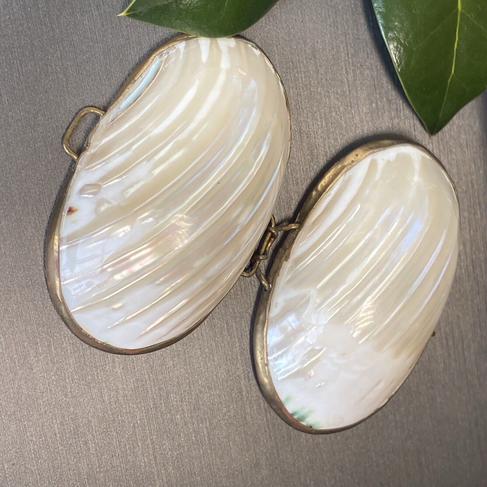 Sea Shell Brass Pearl Jewelry Trinket Box Early 1900s Antique Vintage Pre-owned