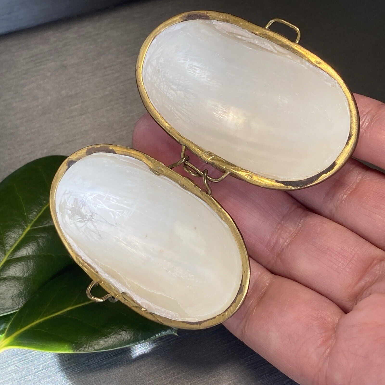 Sea Shell Brass Pearl Jewelry Trinket Box Early 1900s Antique Vintage Pre-owned