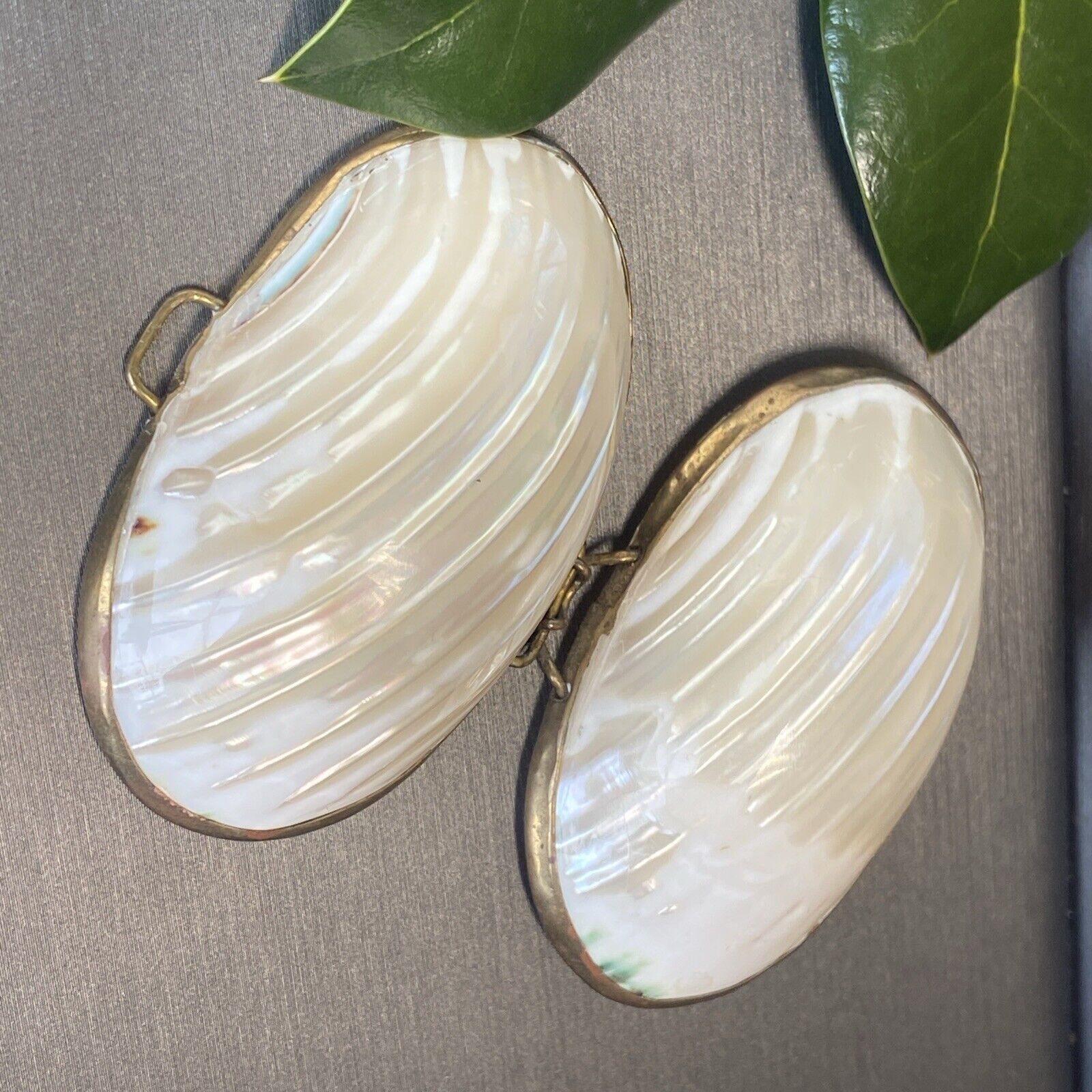 Sea Shell Brass Pearl Jewelry Trinket Box Early 1900s Antique Vintage Pre-owned