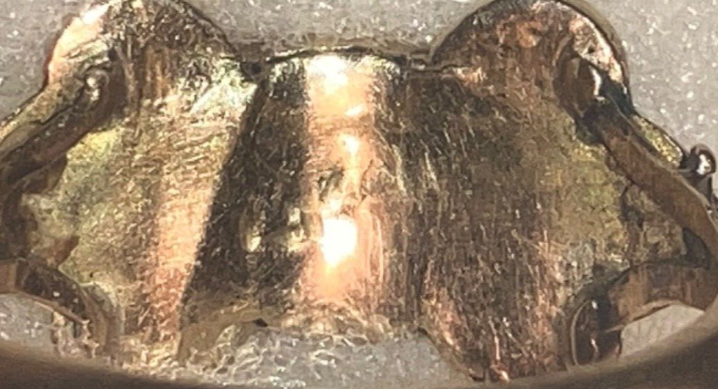 1600 - 1700s Antique Bow Ring - Borgia Family Heirloom