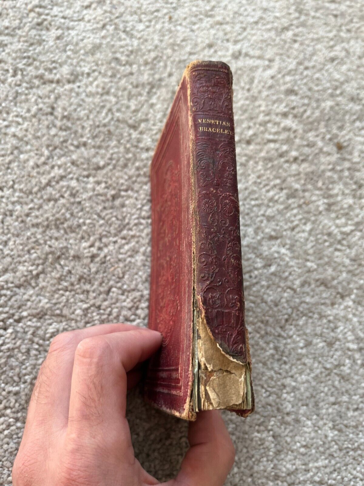 The Venetian Bracelet : the Lost Pleiad : a History of the Lyre 1800's