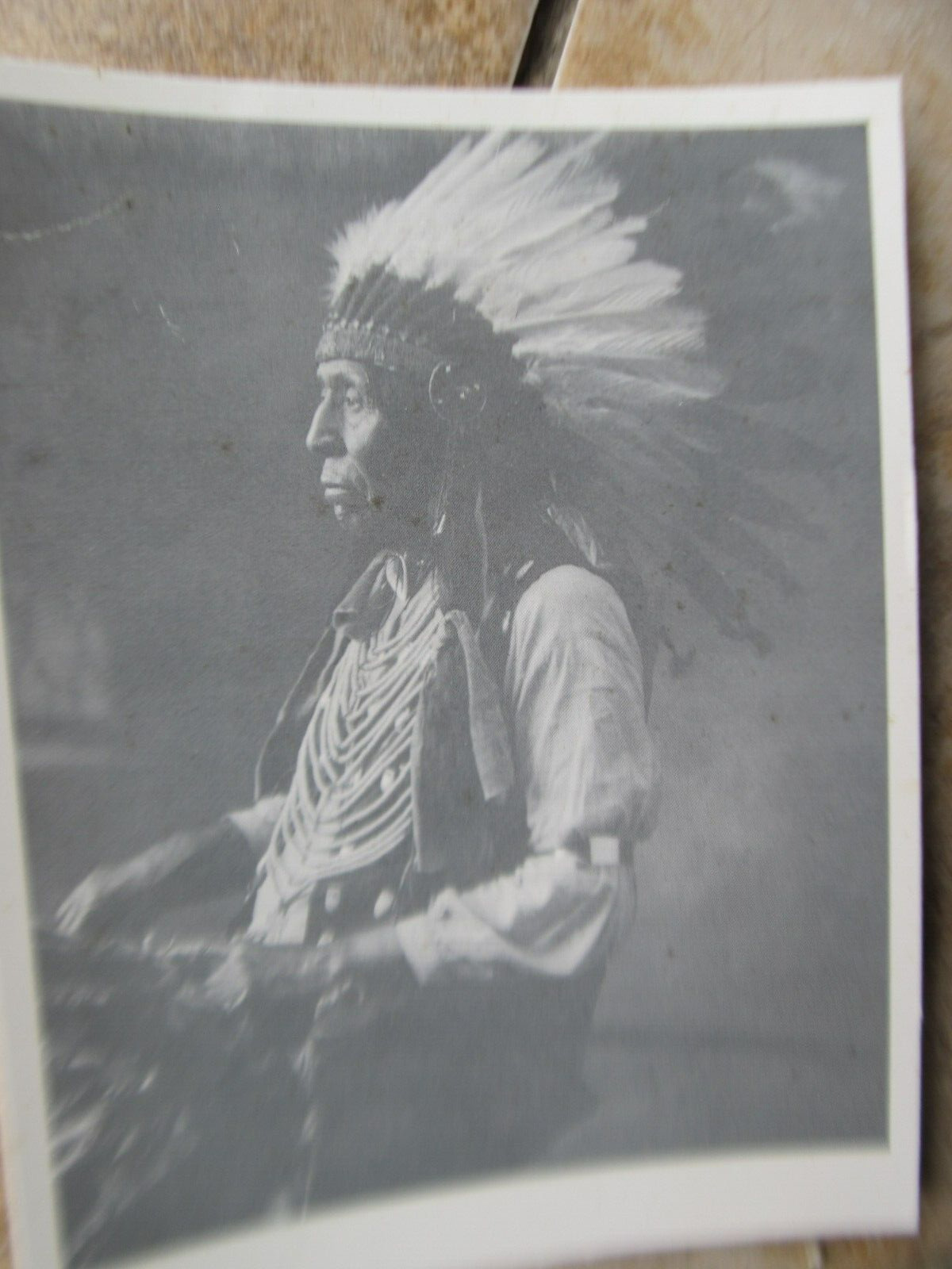 12 Nice Vintage Photos of 1800's Native American Warriors, Sitting Bull Geronomo