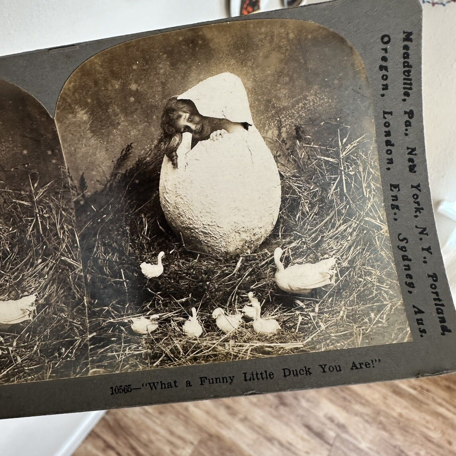 Oddities Late 1800's 1900s Cabinet Card- Photographs - Stereoscope - Look Close!