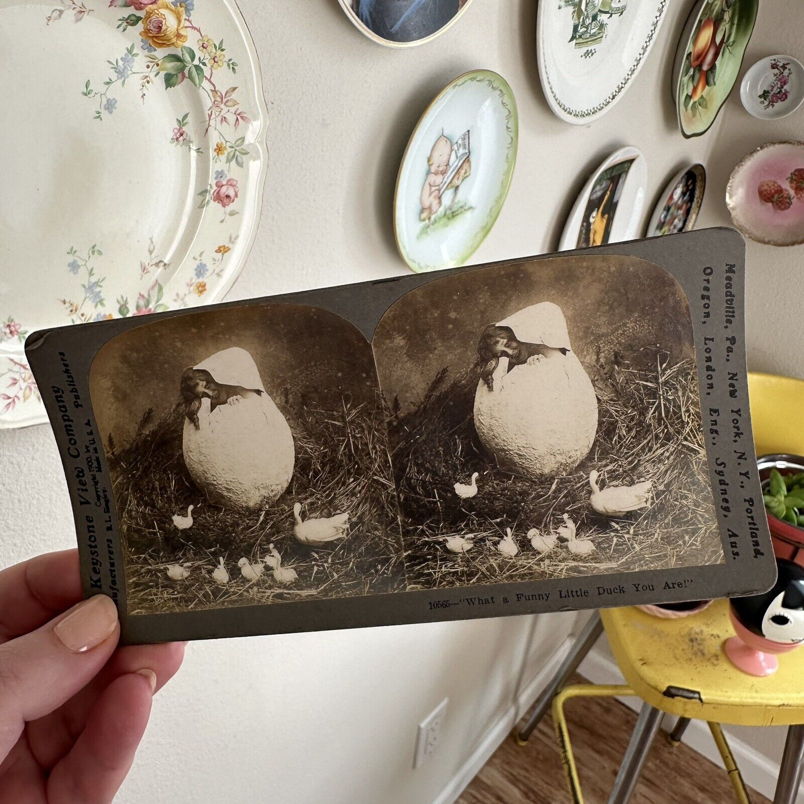 Oddities Late 1800's 1900s Cabinet Card- Photographs - Stereoscope - Look Close!