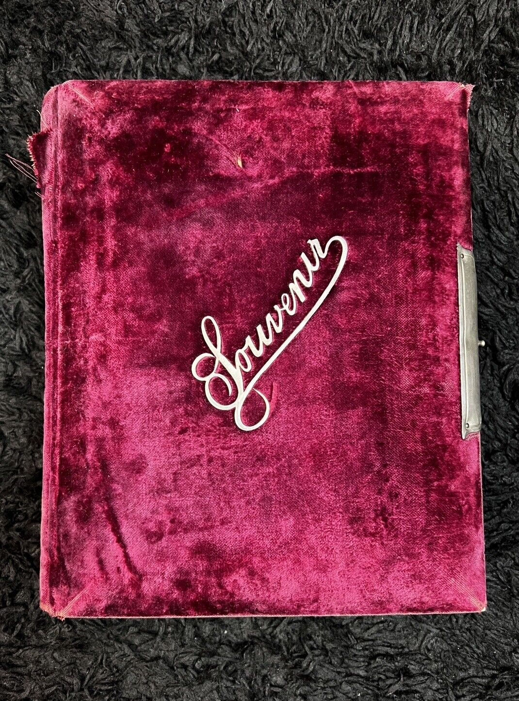 45 Family Photos with First/Last Name Late 1800s in a Red Velvet 'Souvenir' Book