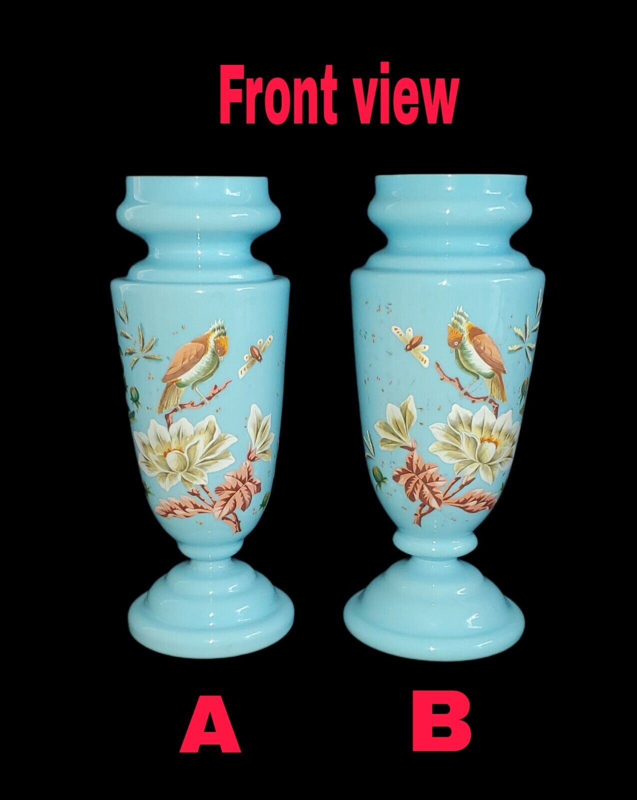 1800’s Victorian Powder Enamel Birds Blue Bristol Vases