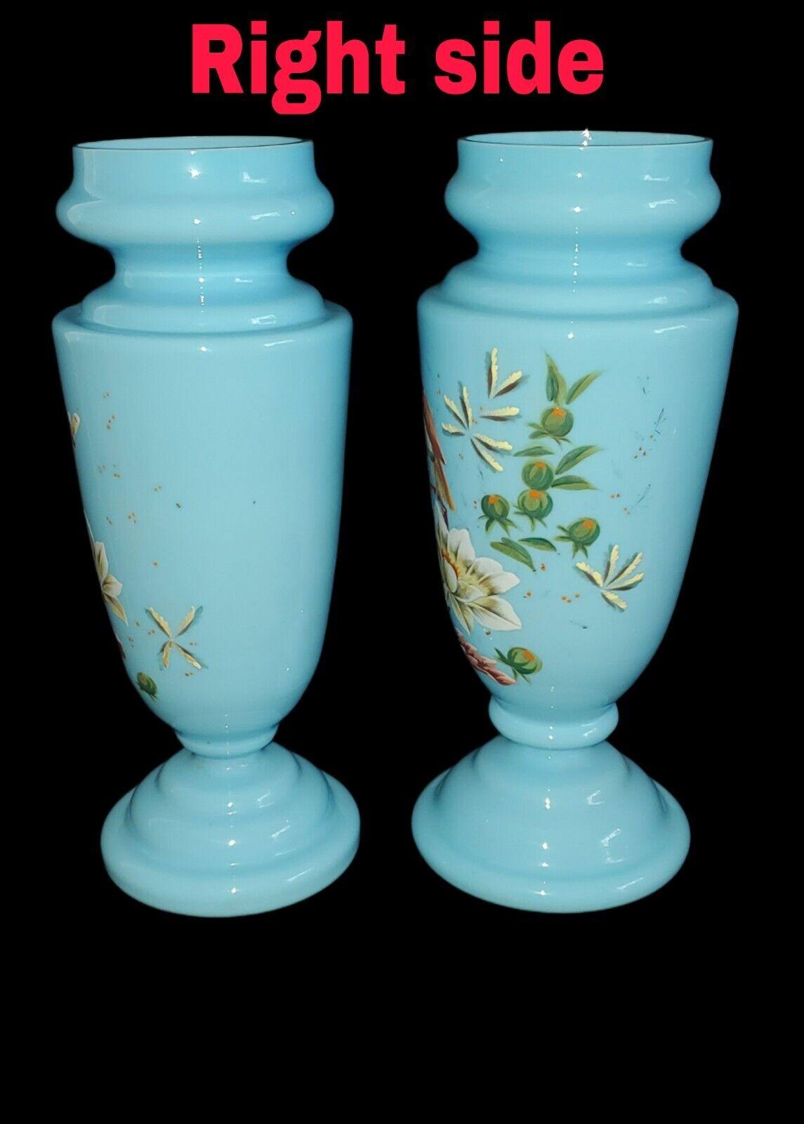 1800’s Victorian Powder Enamel Birds Blue Bristol Vases
