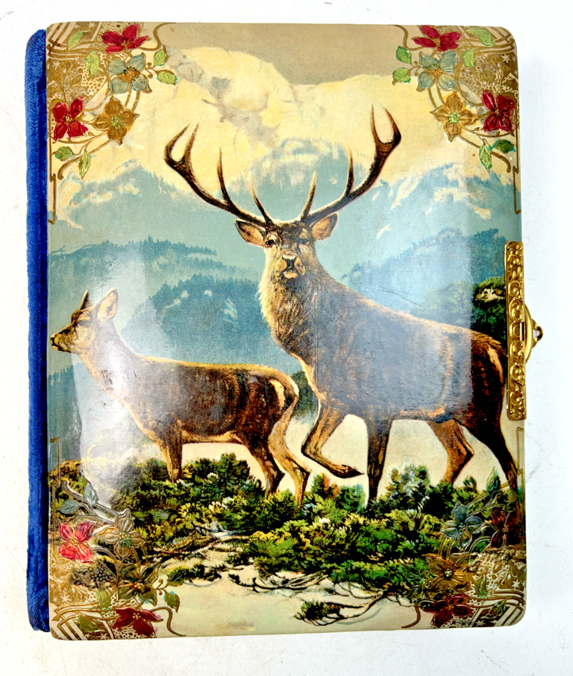 Victorian Era Celluloid Photo Album - 10.25" x 8.5