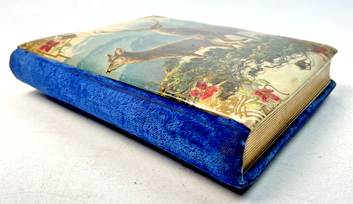 Victorian Era Celluloid Photo Album - 10.25" x 8.5