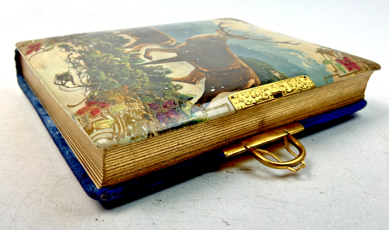 Victorian Era Celluloid Photo Album - 10.25" x 8.5