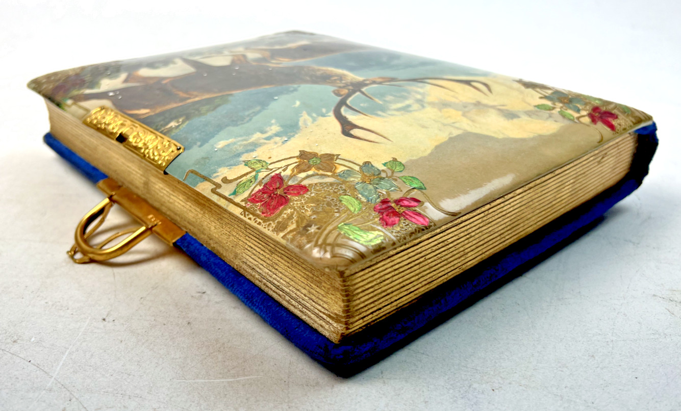 Victorian Era Celluloid Photo Album - 10.25" x 8.5