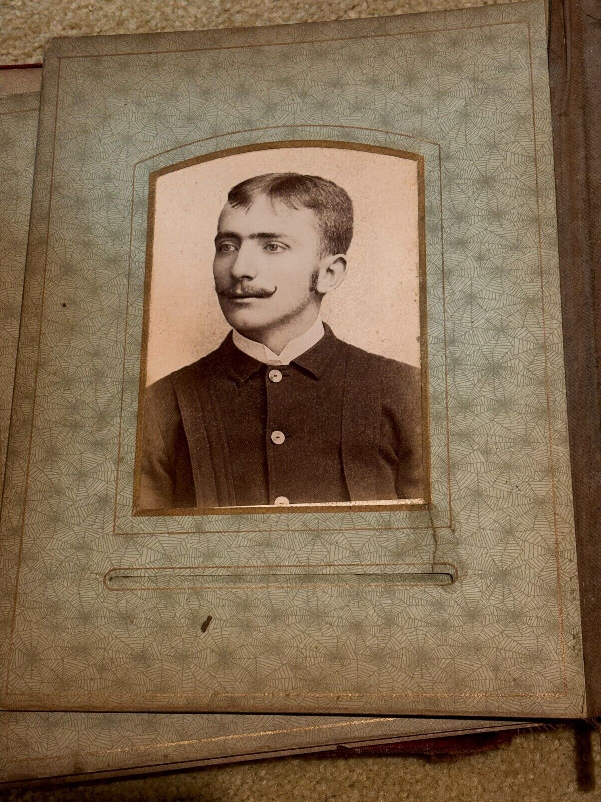 Victorian 34-Photo Album Velvet Cabinet Card Tintype
