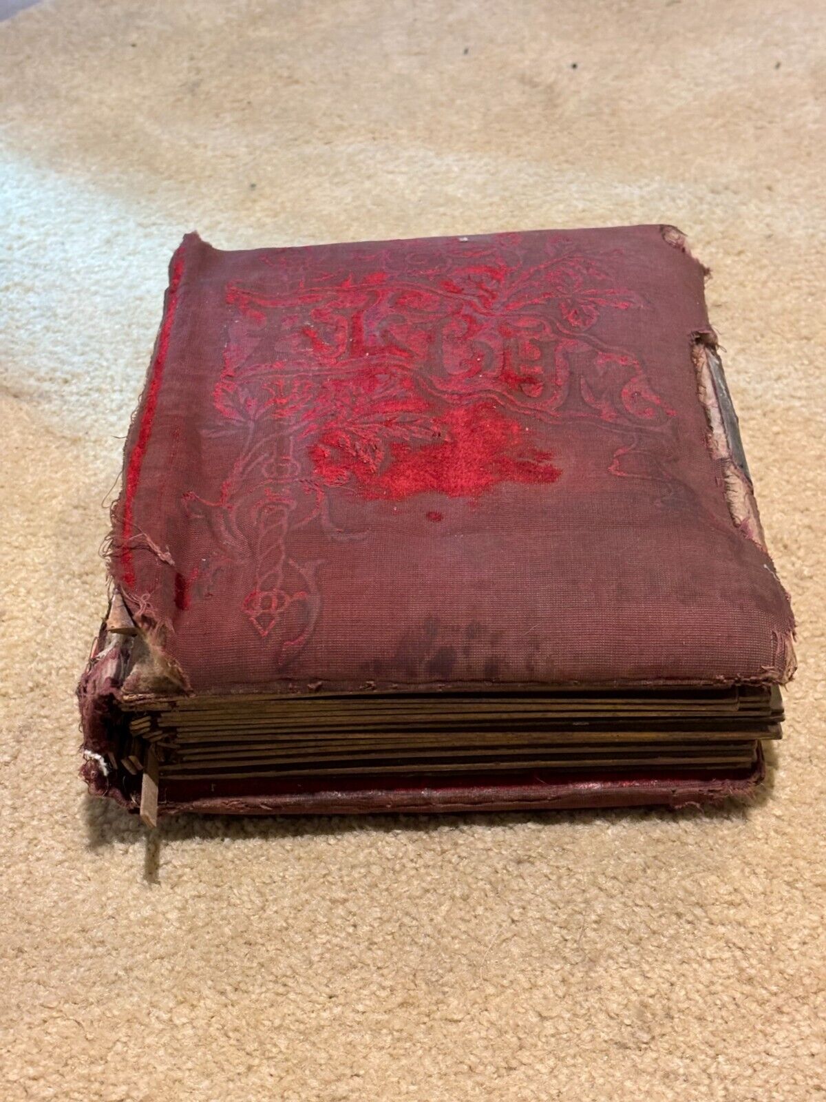 Victorian 34-Photo Album Velvet Cabinet Card Tintype
