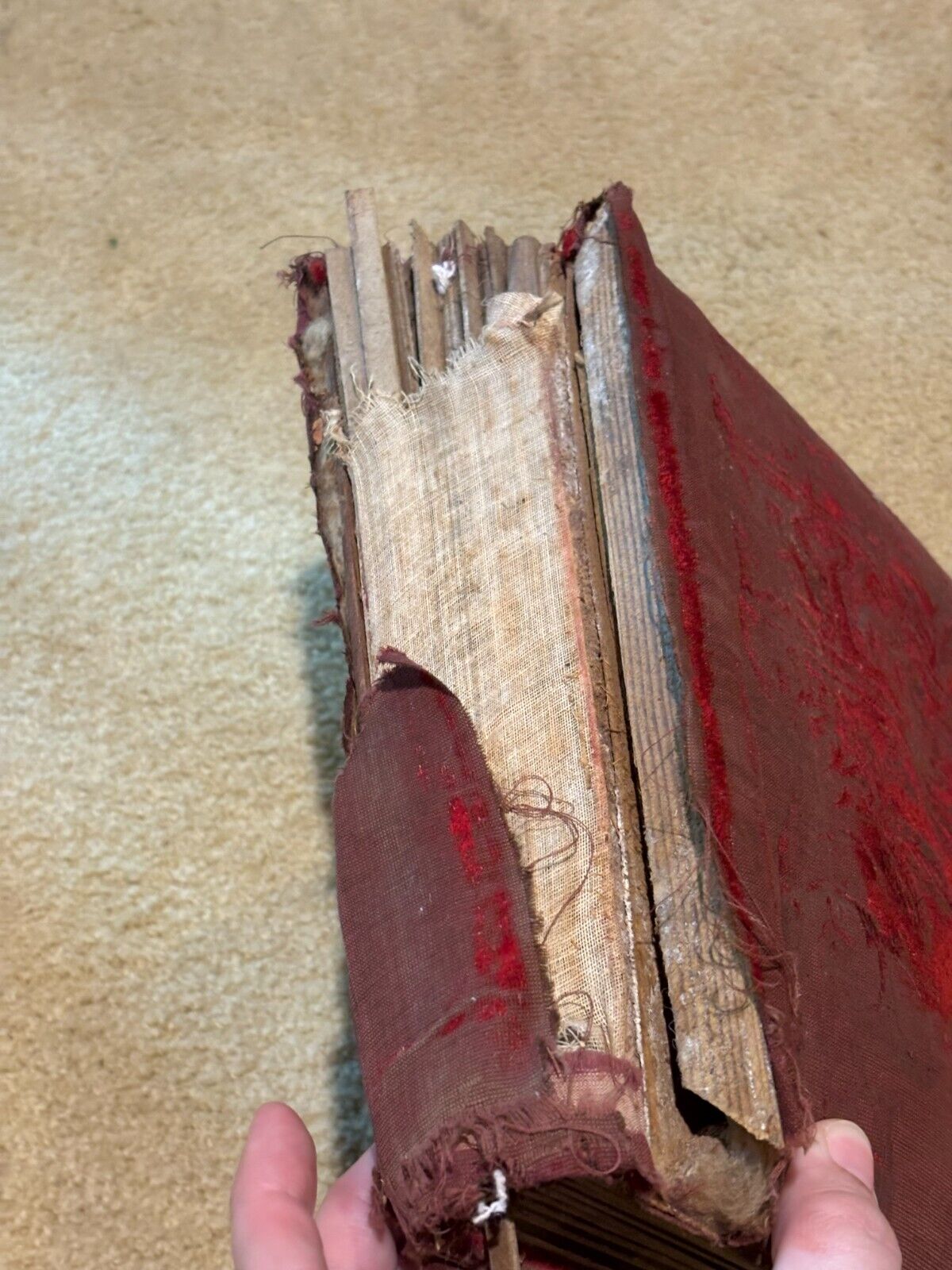 Victorian 34-Photo Album Velvet Cabinet Card Tintype