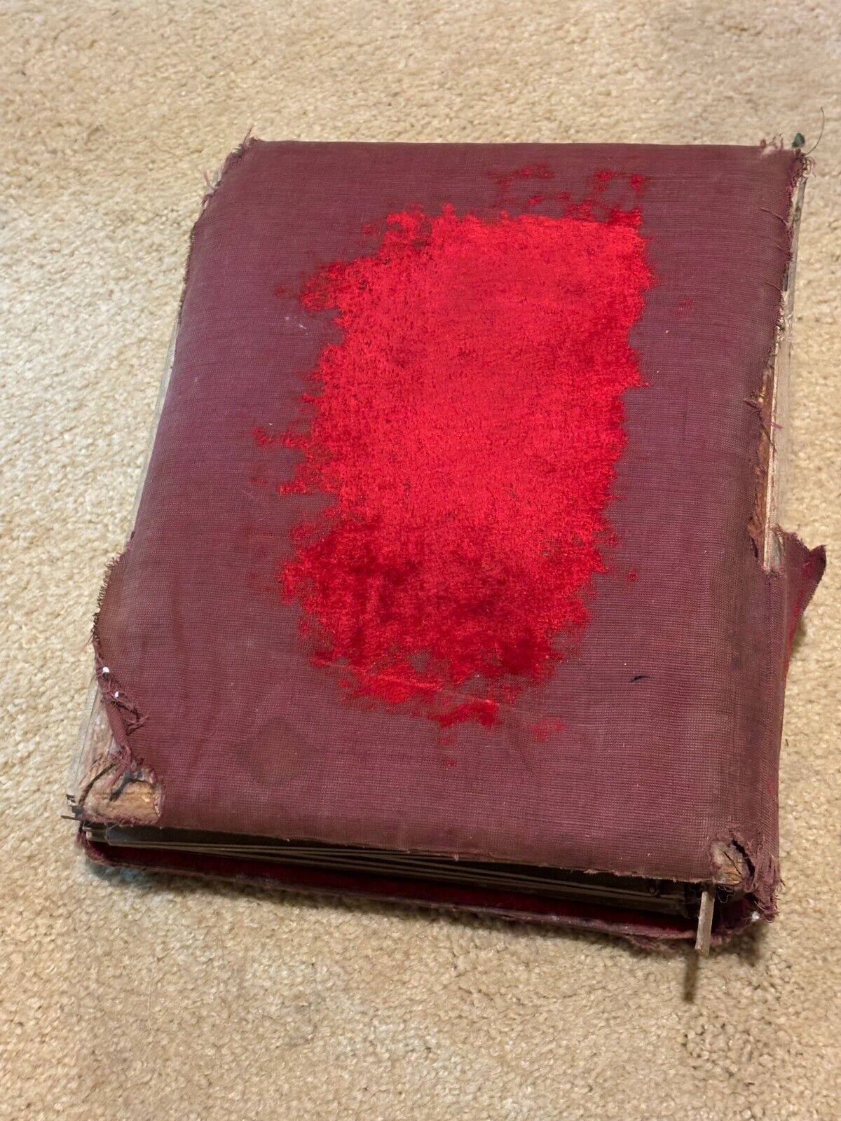 Victorian 34-Photo Album Velvet Cabinet Card Tintype