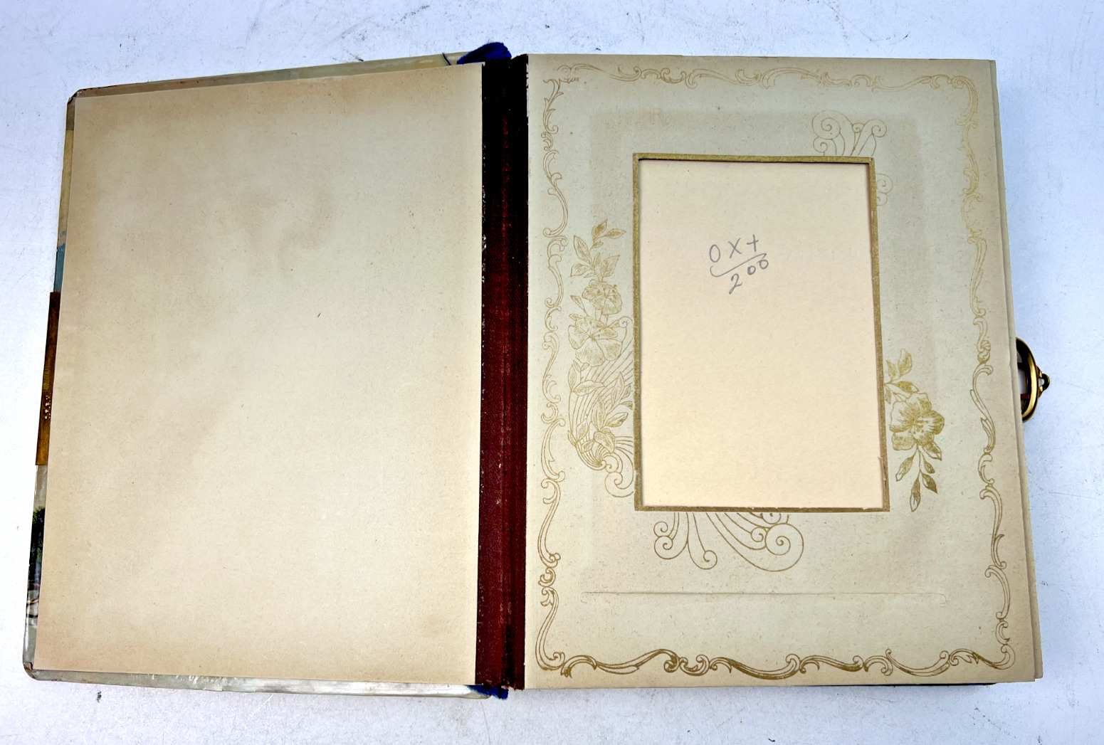 Victorian Era Celluloid Photo Album - 10.25" x 8.5