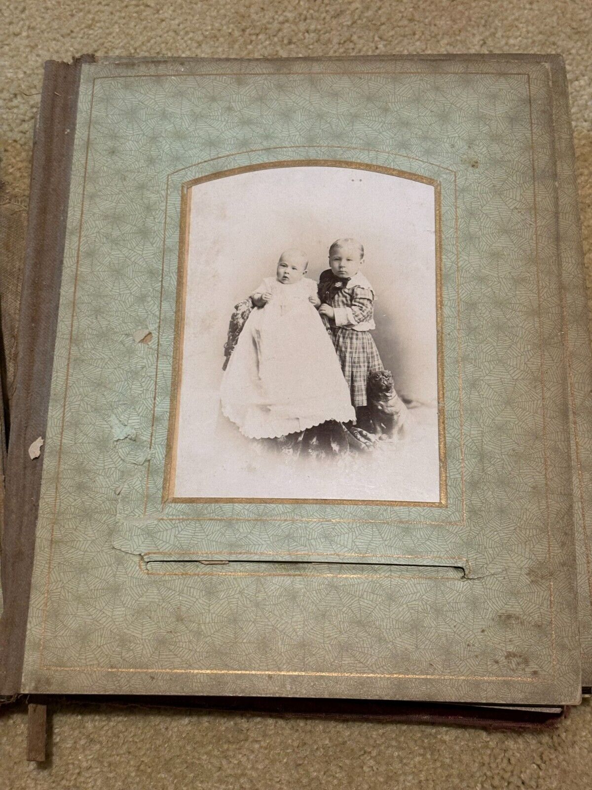 Victorian 34-Photo Album Velvet Cabinet Card Tintype