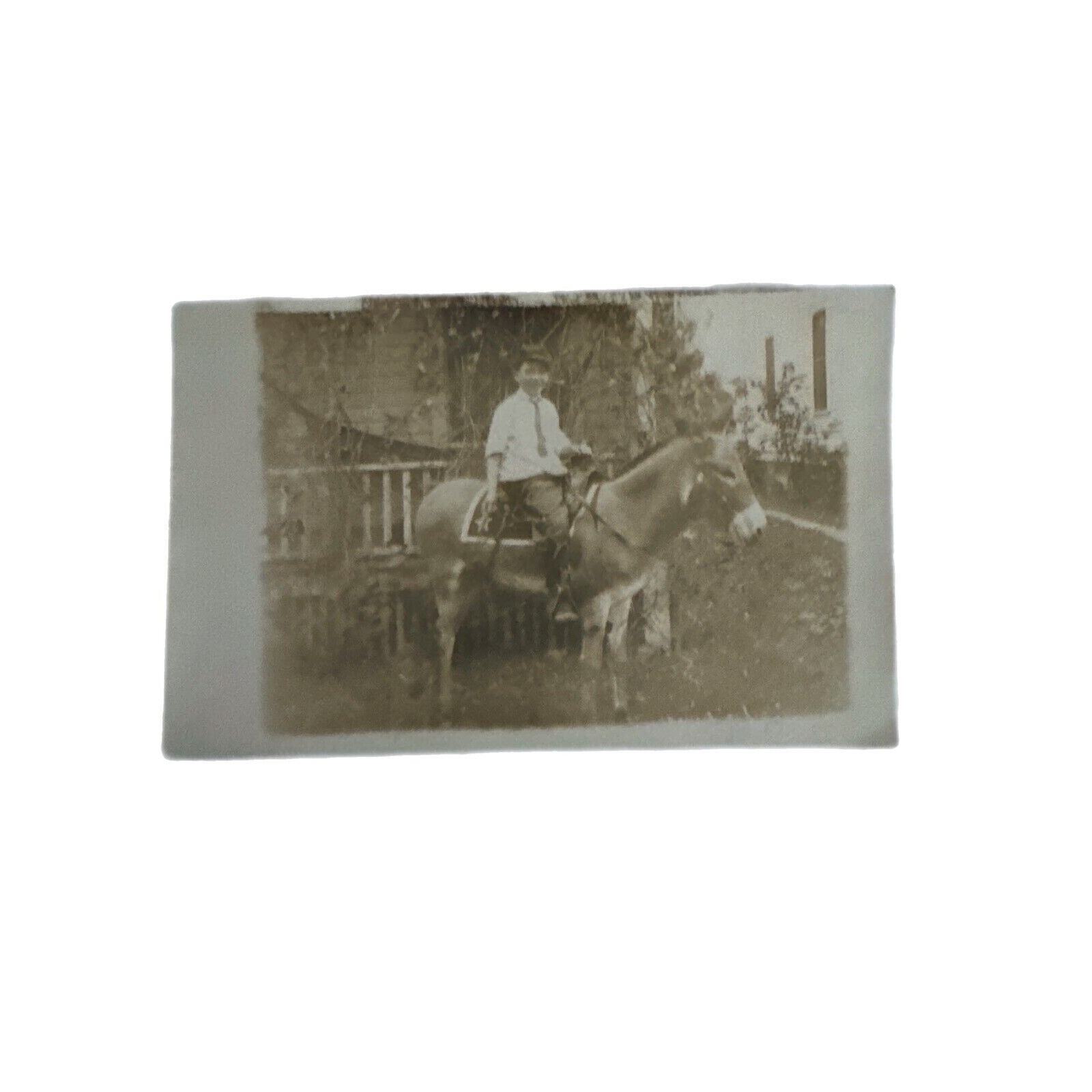 Antique RPPC Postcard Ephemera Early 1900s Shoppe Black White Young Boy Donkey