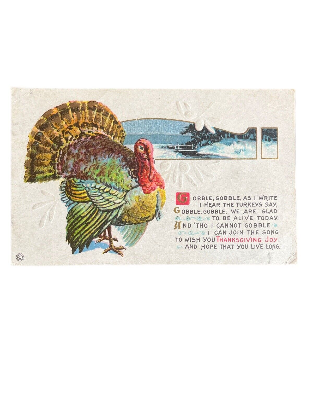 Antique Posted Thanksgiving Turkey 1900s Ephemera Embossed No Stamp Postcard SEE
