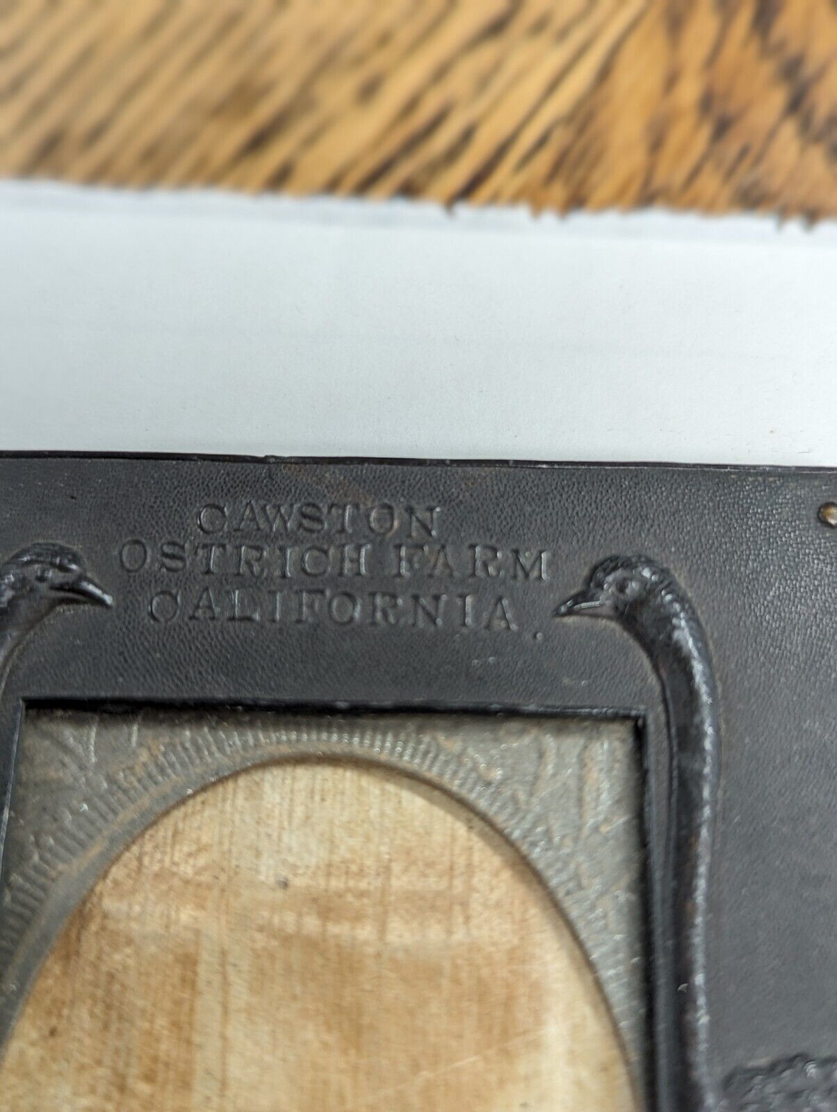 Cawston Ostrich Farm - Business Ephemera Picture FRAME RARE - Early 1900's