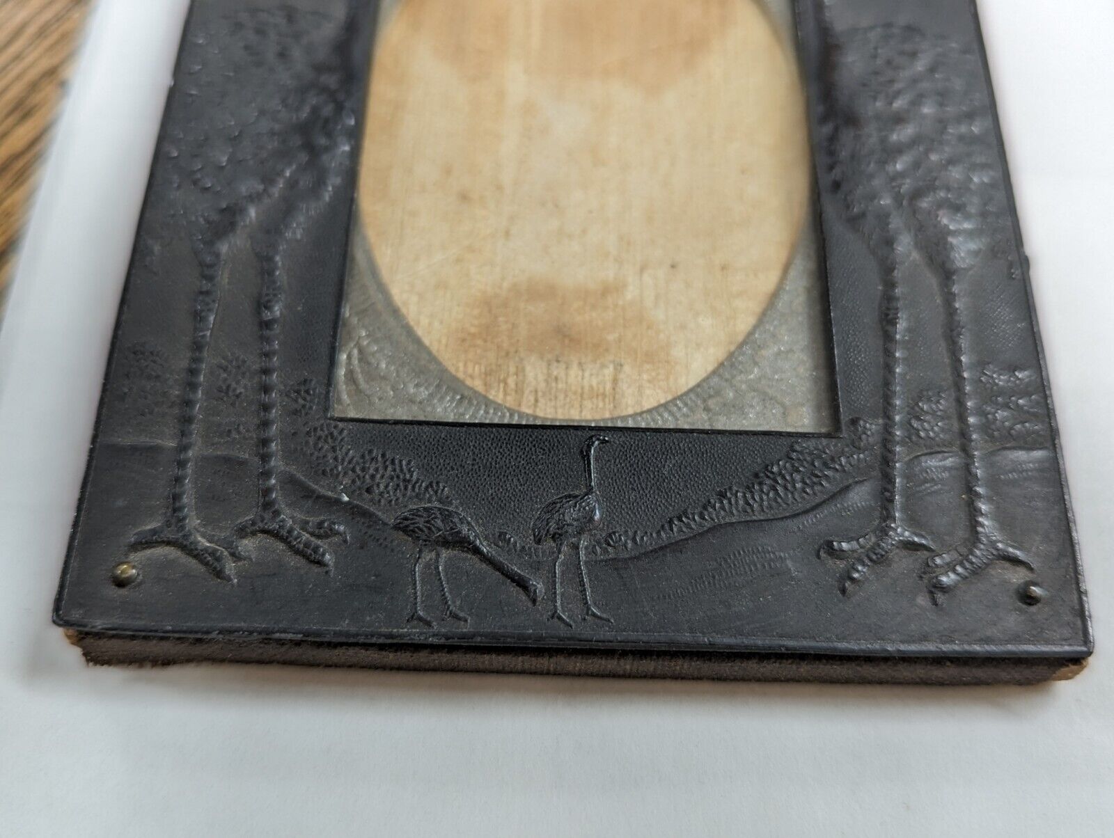 Cawston Ostrich Farm - Business Ephemera Picture FRAME RARE - Early 1900's