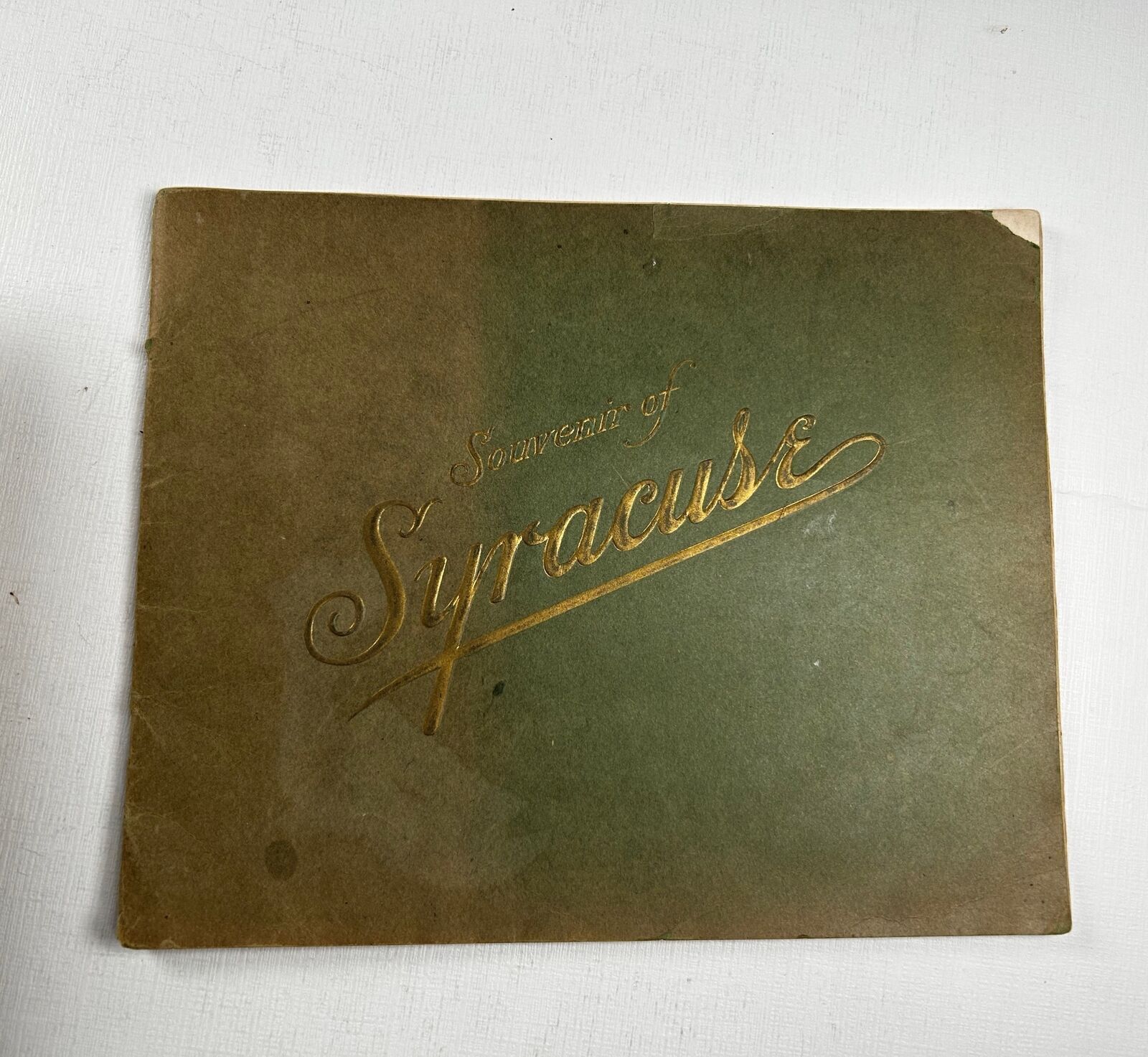 Souvenir of Syracuse New York Early 1900s