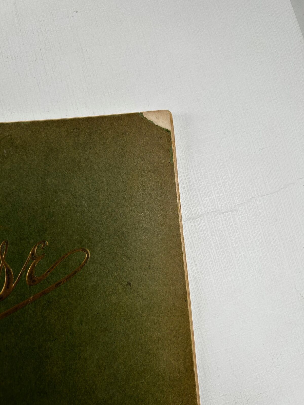 Souvenir of Syracuse New York Early 1900s