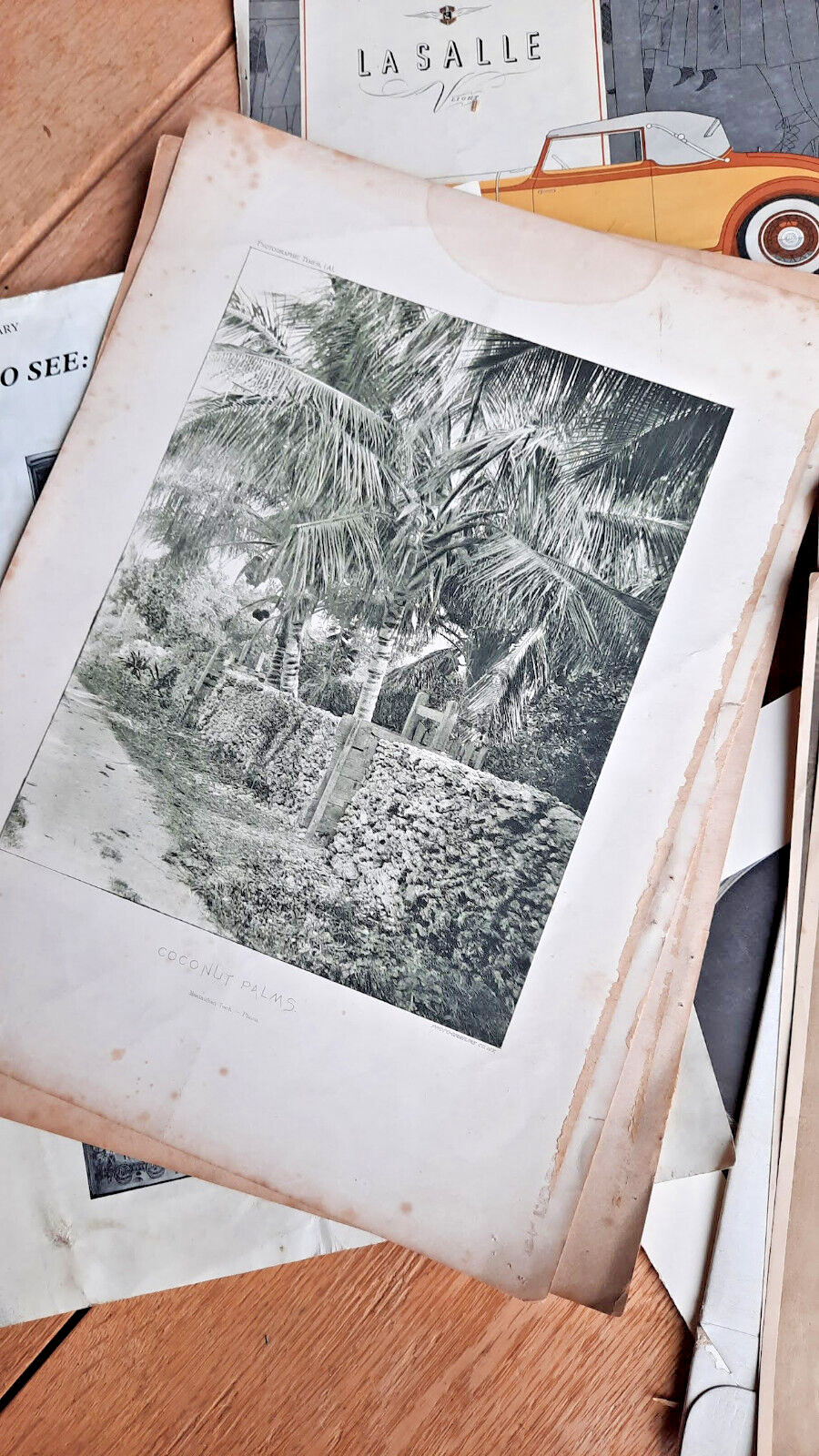 Antique Vintage Paper Ephemera  Lot  Mixed Media Art 1800-1900s Photos Prints