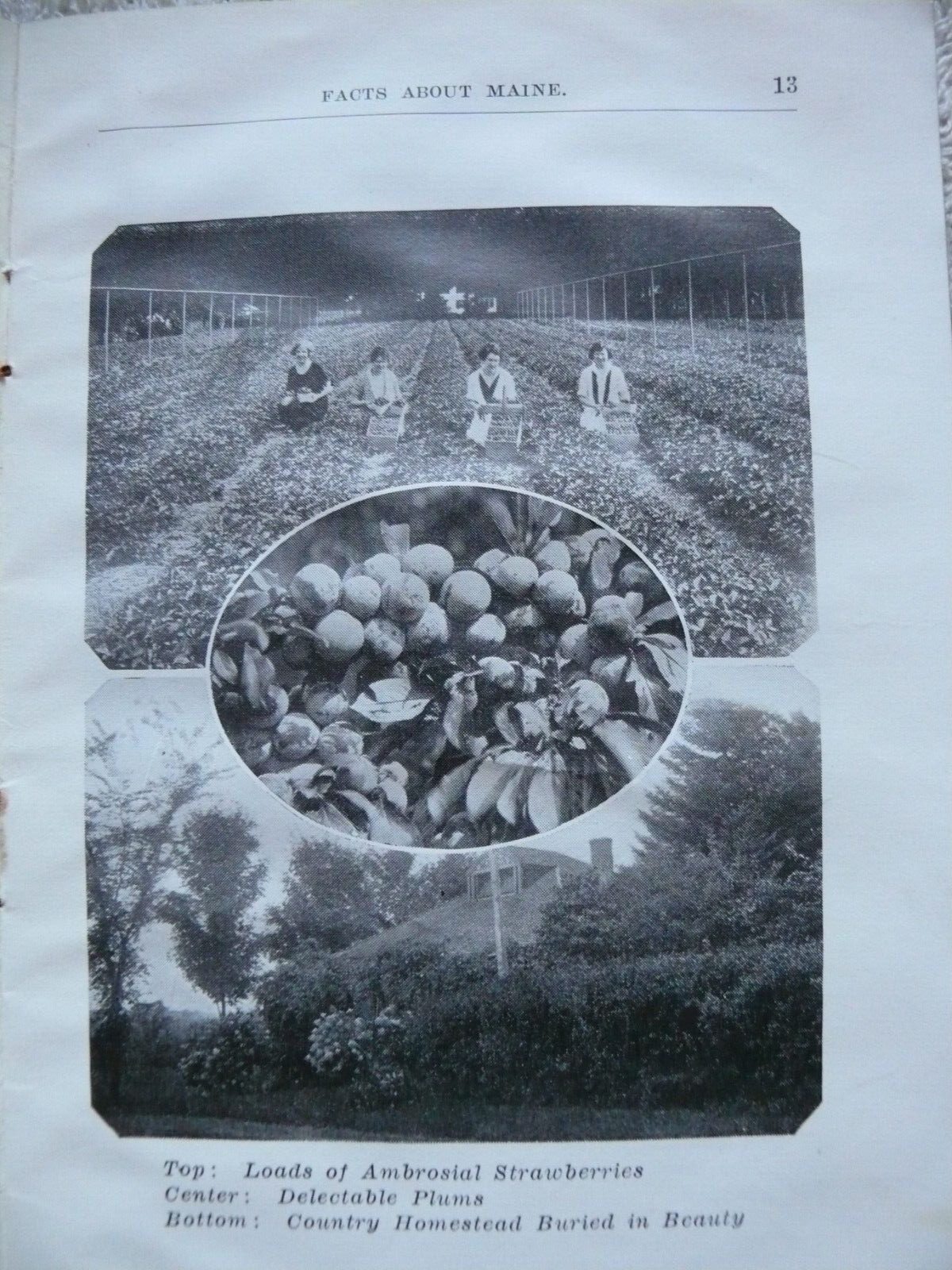 THREE MAINE EPHEMERA ITEMS from early 1900's