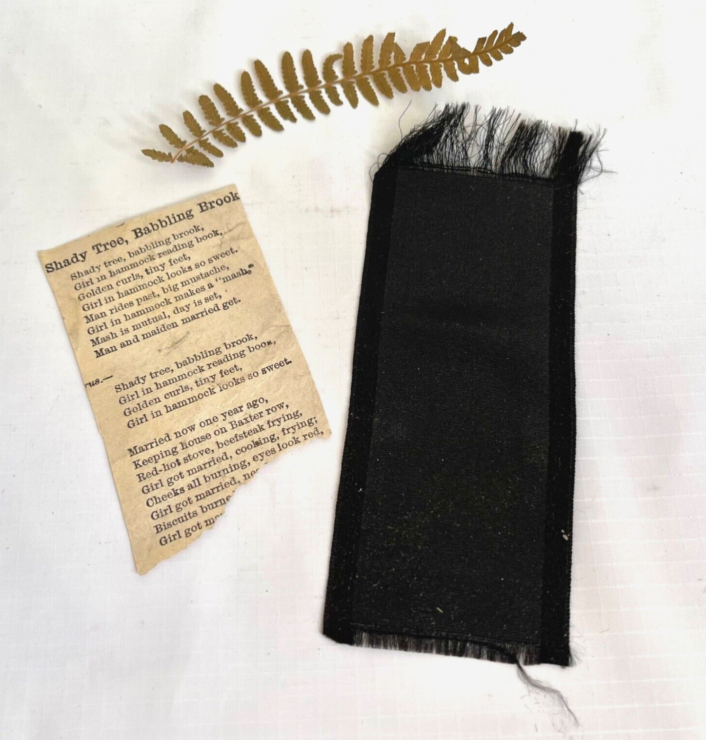 Ephemera Lot 1800s Ribbon Bookmark Pressed Fern Paper Clipping Junk Journal