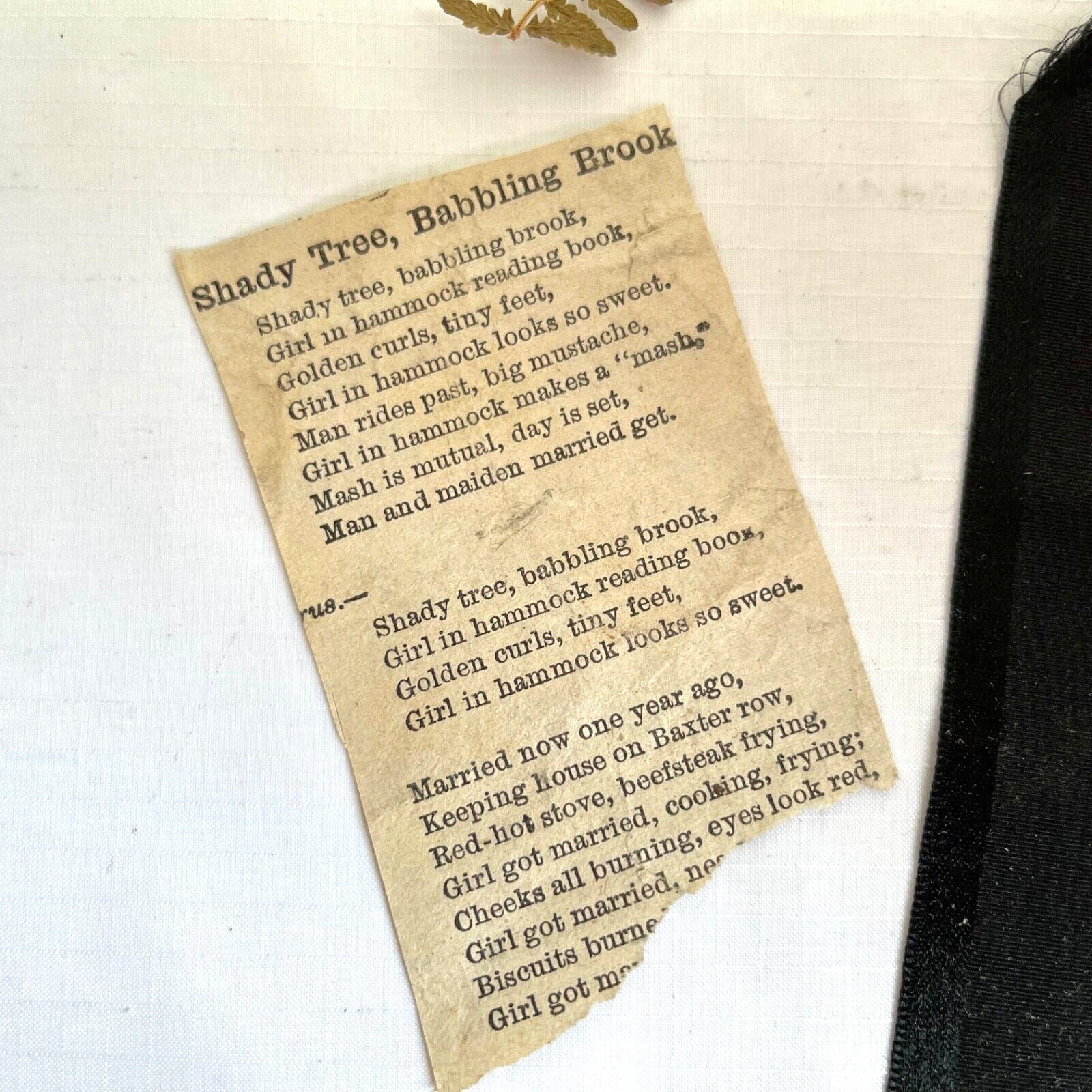 Ephemera Lot 1800s Ribbon Bookmark Pressed Fern Paper Clipping Junk Journal